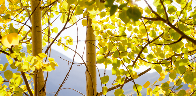 Construction Permits